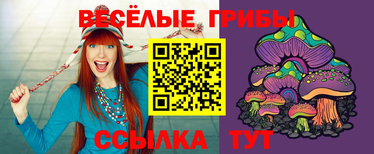 Псилоцибиновые грибы Cubensis  Вход с VPN  Каменск-Уральский 